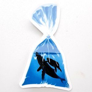 VSCO Stickers 10 for $15